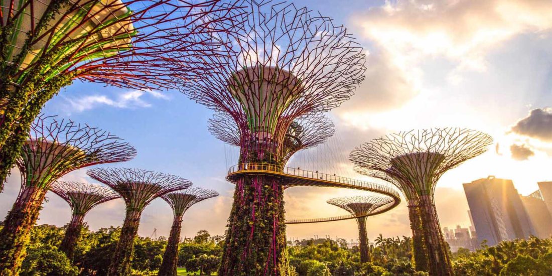 SEACE2023 Cultural Event: Gardens by the Bay